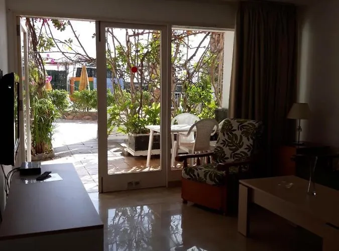 Pet friendly San Nicolas Playa del Ingles 