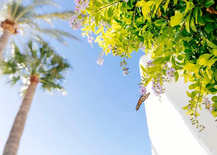 Playa de las Americas (Tenerife) hotels near The Patch