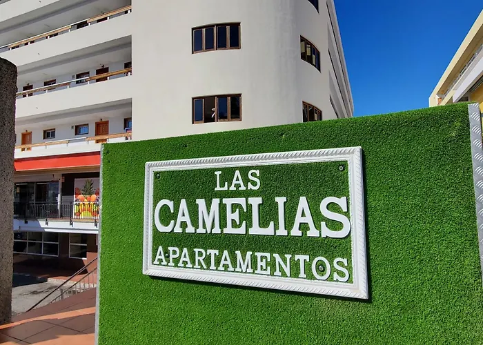 Pet friendly Las Camelias Apartments Ci17 Playa del Ingles 