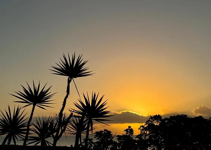 Pet friendly Seafront Puerto Calero Villa