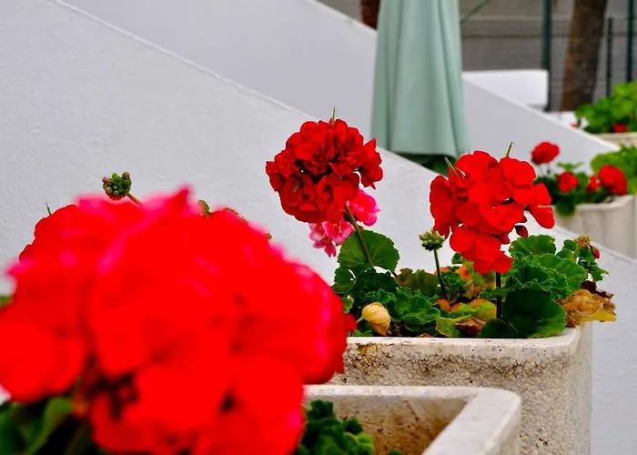 Apartamentos Niza Puerto Rico 
