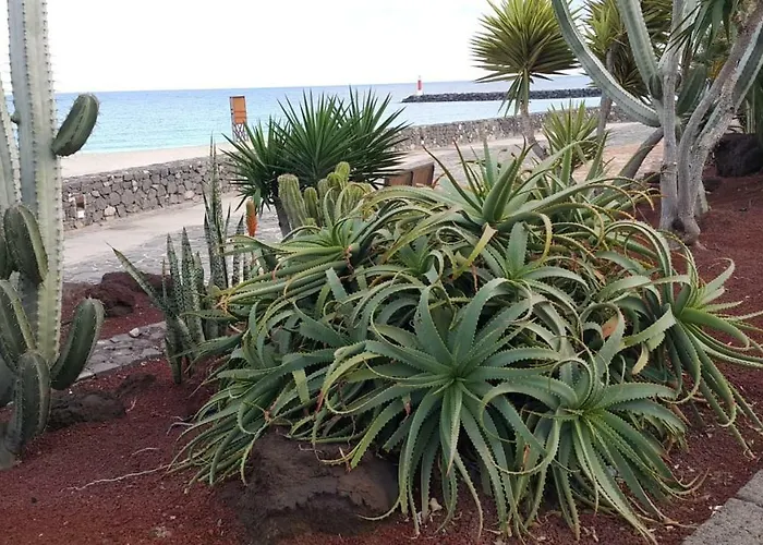 Pet friendly Bungalow King Apartment Puerto del Carmen 